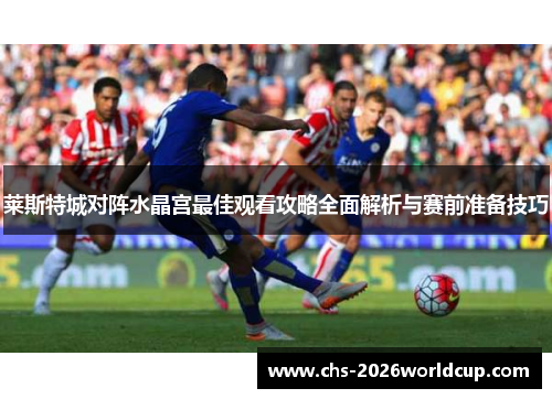 莱斯特城对阵水晶宫最佳观看攻略全面解析与赛前准备技巧